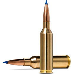 Norma náboje Bondstrike 6,5 PRC 143gr/9,27g