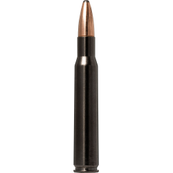 Norma náboje Oryx Silencer Sieres Spring 30-06 180gr/11,7g