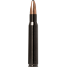 Norma náboje Oryx Silencer Sieres Spring 30-06 180gr/11,7g