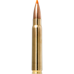Norma náboje Tipstrike 9,3x62 255gr/16,5g