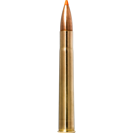 Norma náboje Tipstrike 9,3x74R 255gr/16,5g