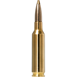 Norma náboje Evostrike 6,5 Creedmoor 93gr/6,0g