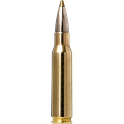 Norma náboje Evostrike 308 Win. 139gr/9,0g