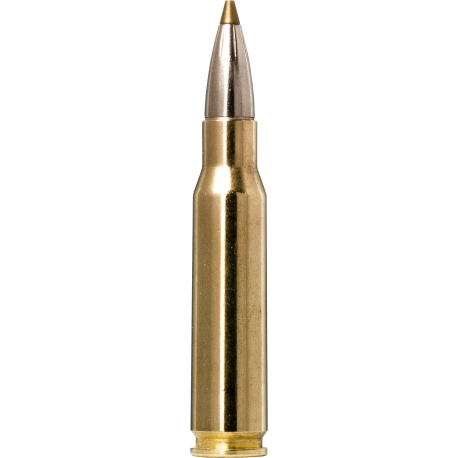 Norma náboje Evostrike 308 Win. 139gr/9,0g