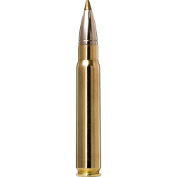 Norma náboje Evostrike  9,3x62 184gr/11,9g