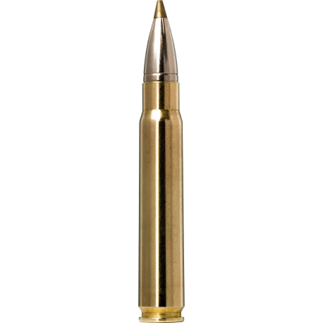 Norma náboje Evostrike  9,3x62 184gr/11,9g