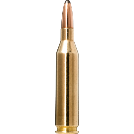 Norma náboje Whitetail 243Win 100gr/6,5g
