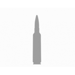 Norma náboje Whitetail 257 Weath Mag 100gr/6,5g