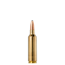Norma náboje Whitetail .270 WSM 130gr/8,4g