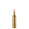 Norma náboje Whitetail .270 WSM 130gr/8,4g