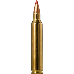 Norma náboje V-Max .204 Ruger 40 grain /2,6 g