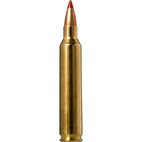 Norma náboje V-Max .204 Ruger 40 grain /2,6 g