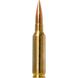 Norma náboje Golden Target 6,5 Creedmoor 143gr/9,27g