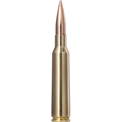 Norma náboje Golden Target 6,5x55 SE 143gr/9,27g