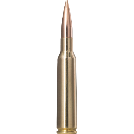 Norma náboje Golden Target 6,5x55 SE 143gr/9,27g