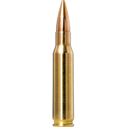 Norma náboje Golden Target .308 Win.155gr/10,0g