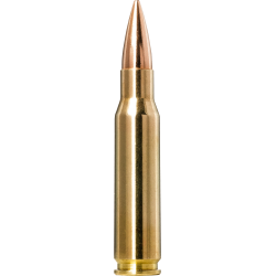 Norma náboje Golden Target .308 Win.168gr/10,9g