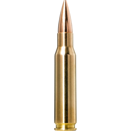 Norma náboje Golden Target .308 Win.168gr/10,9g