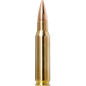 Norma náboje Golden Target .308 Win.168gr/10,9g