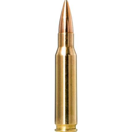 Norma náboje Golden Target .308 Win.175gr/11,3g