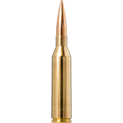 Norma náboje Golden Target .300 Mag. 220gr/14,3g