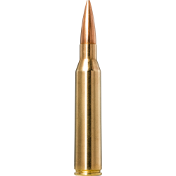 Norma náboje Golden Target .338 Lapua. 250gr/16,2g