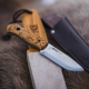 Helle Polaris