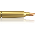Norma náboje Oryx .22-250 Rem. 55 grain / 3,6 g