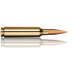 Norma náboje Golden Target 6,5-284 130 grain /8,4 g