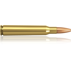 Norma náboje Oryx Blaser 8,5x55 230gr/14,9g