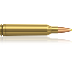 Norma náboje Plastic Point 7mm Rem. Mag. 170 grain /11,0 g