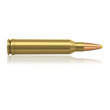 Norma náboje Plastic Point 7mm Rem. Mag. 170 grain /11,0 g
