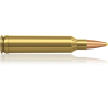Norma náboje Plastic Point 7mm Rem. Mag. 170 grain /11,0 g