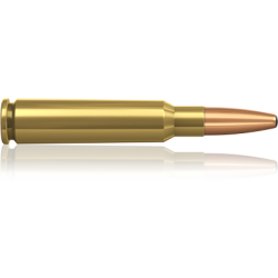 Norma náboje  Oryx 7.5x55 180 grain /11,7 g