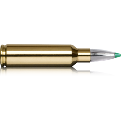Norma náboje .300 WSM 165 grain Ecostrike 10,7 g