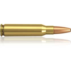 Norma náboje Oryx 308 Win. 165 grain /0,7 g