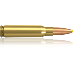 Norma náboje Plastic Point .308 Win. 180 grain / 11,7 g