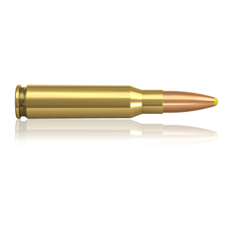 Norma náboje Plastic Point .308 Win. 180 grain / 11,7 g