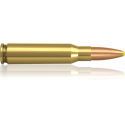 Norma náboje Norma náboje Plastic Point .308 Win. 180 grain / 11,7 g