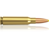 Norma náboje Plastic Point .308 Win. 180 grain / 11,7 g