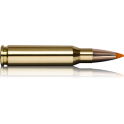 Norma náboje Tipstrike .308 Win. 170 grain /11,0 g