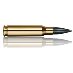 Norma náboje Diamond Line .308 Win.  168 grain / 10,9 g