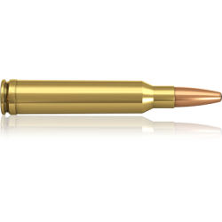 Norma náboje .308 Norma Mag. 180 grain Oryx 11,7 g