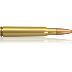 Norma náboje .30-06  180 grain Oryx 11,7 g