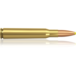 Norma náboje Plastic Point .30-06  Spring 180 grain / 11,7 g