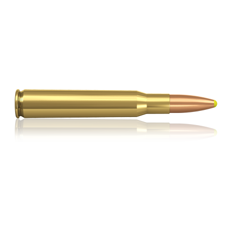 Norma náboje Plastic Point .30-06  Spring 180 grain / 11,7 g