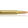 Norma náboje Plastic Point .30-06  Spring 180 grain / 11,7 g