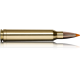 Norma náboje Tipstrike .300 Win. Mag. 170 grain / 11,0 g