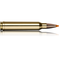 Norma náboje Tipstrike .300 Win. Mag. 170 grain / 11,0 g