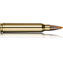 Norma náboje  Tipstrike.300 Win. Mag. 170 grain/ 11,0 g